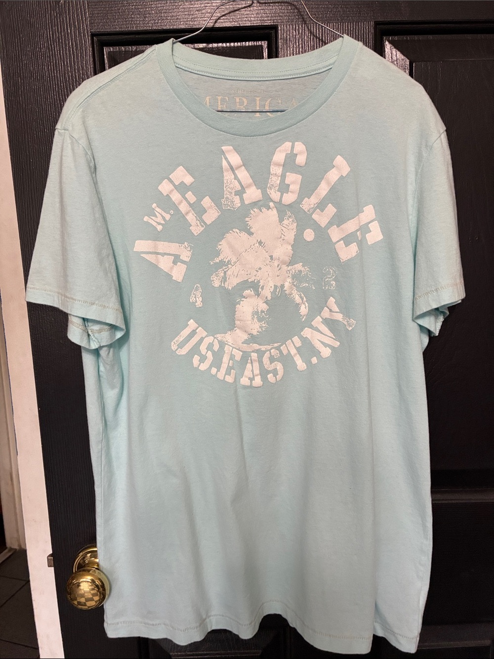 American Eagle Outfitters Light Blue Graphic Short Sleeve Tee